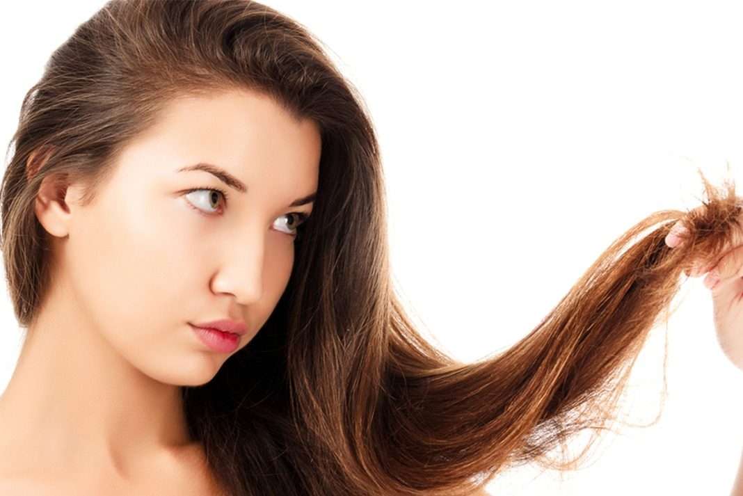Mách bạn cách chăm sóc và ngăn ngừa tóc bị chẻ ngọn hiệu quả  Nhà thuốc  FPT Long Châu