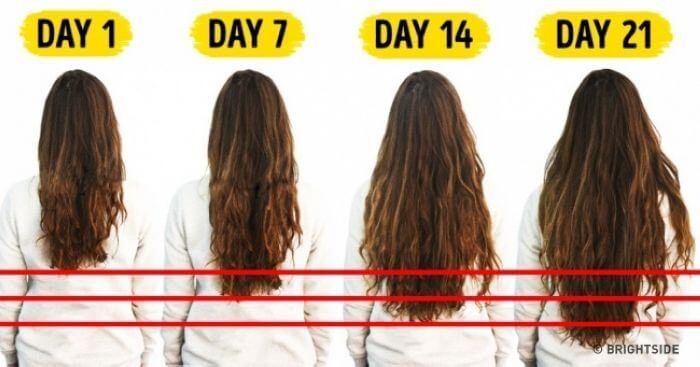 19 cách làm tóc mọc nhanh dài và dày siêu đơn giản ngay tại nhà