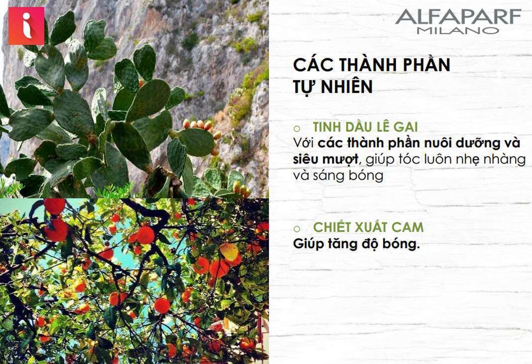 Chiết xuất 100% từ thiên nhiên với nhiều công dụng ưu việt cho tóc dài và thẳng