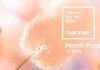Pantone Công Bố Màu Chủ Đạo Của Năm 2024 – Peach Fuzz