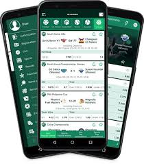 All You Need to Know About BetWinner APK 19 All You Need to Know About BetWinner APK 19