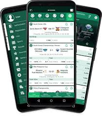 All You Need to Know About BetWinner APK 19