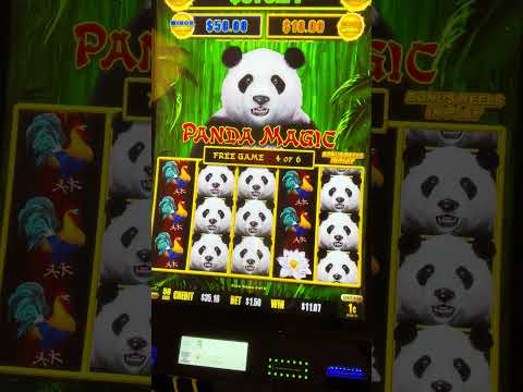 Casino Spinpanda UK Your Ultimate Online Gaming Destination Casino Spinpanda UK Your Ultimate Online Gaming Destination